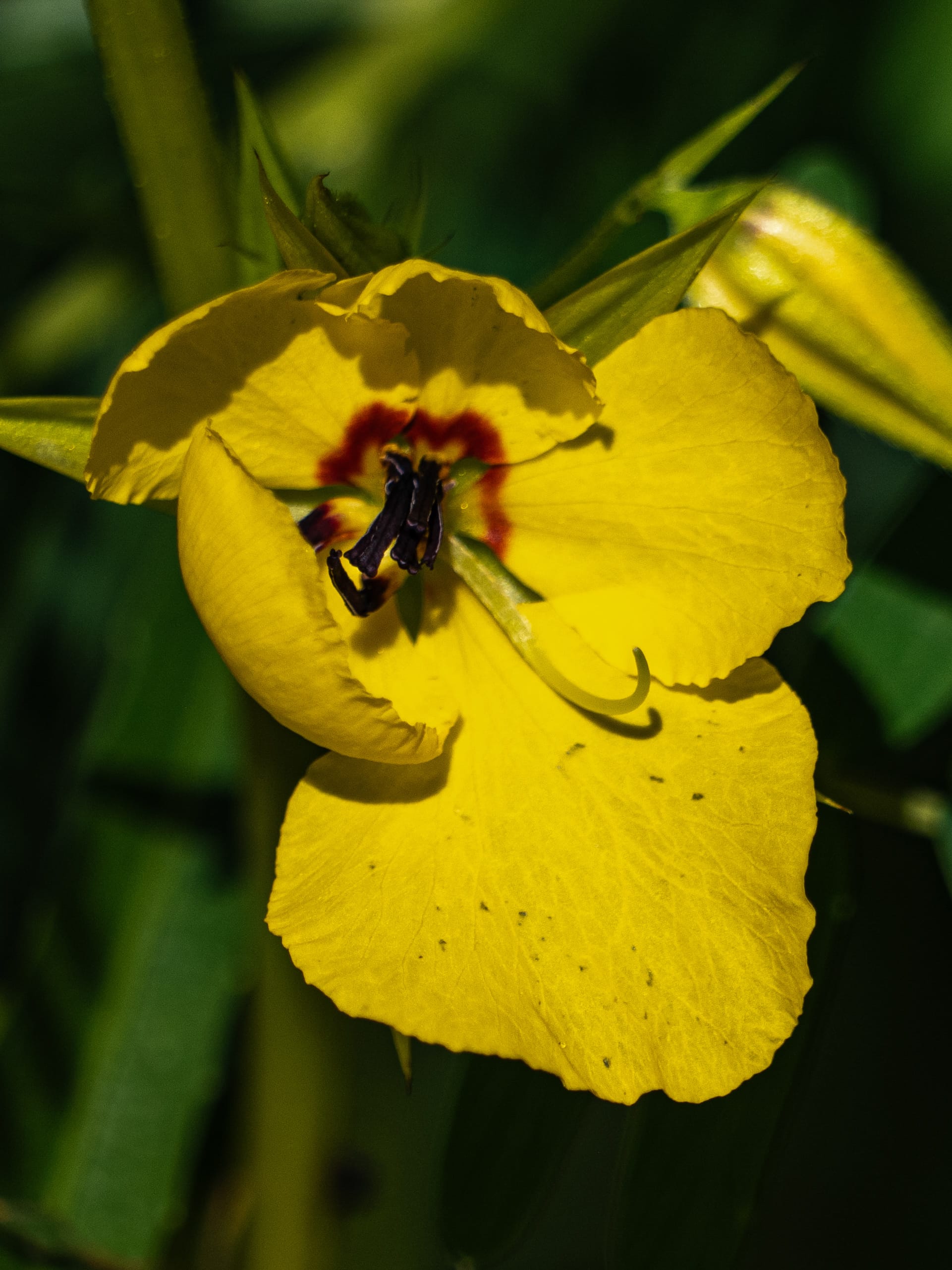 This Week at Nixon Park - July 30 -August 5