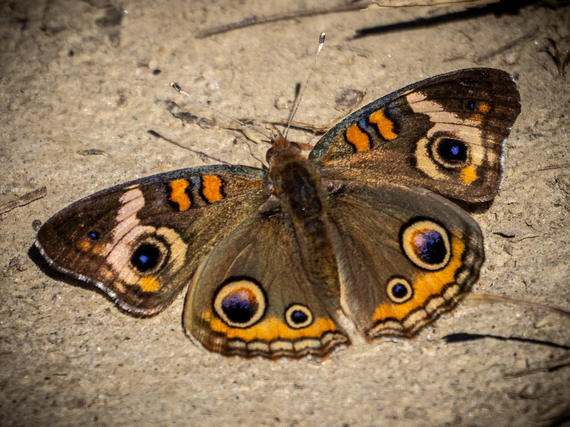 October at Nixon Park