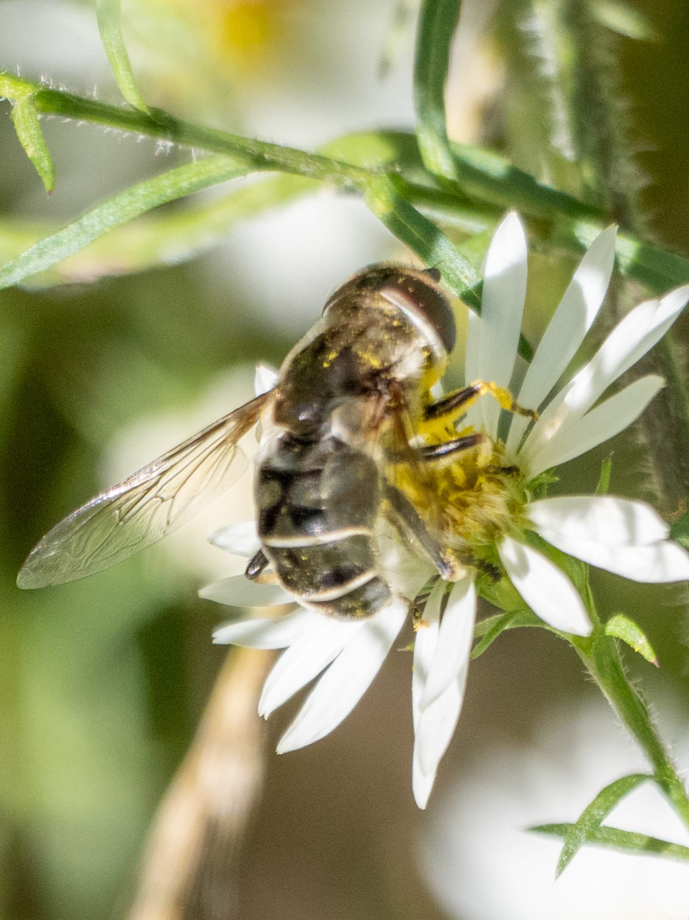 October at Nixon Park