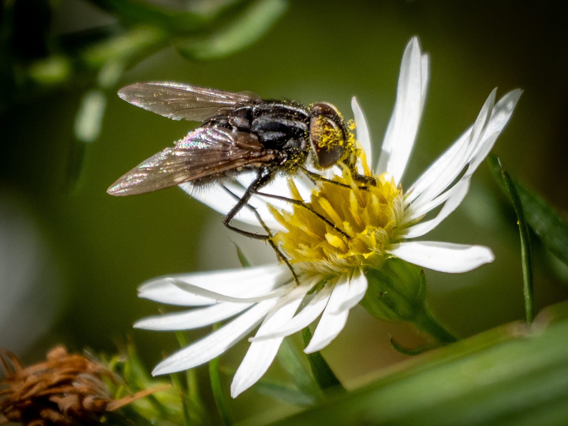October at Nixon Park