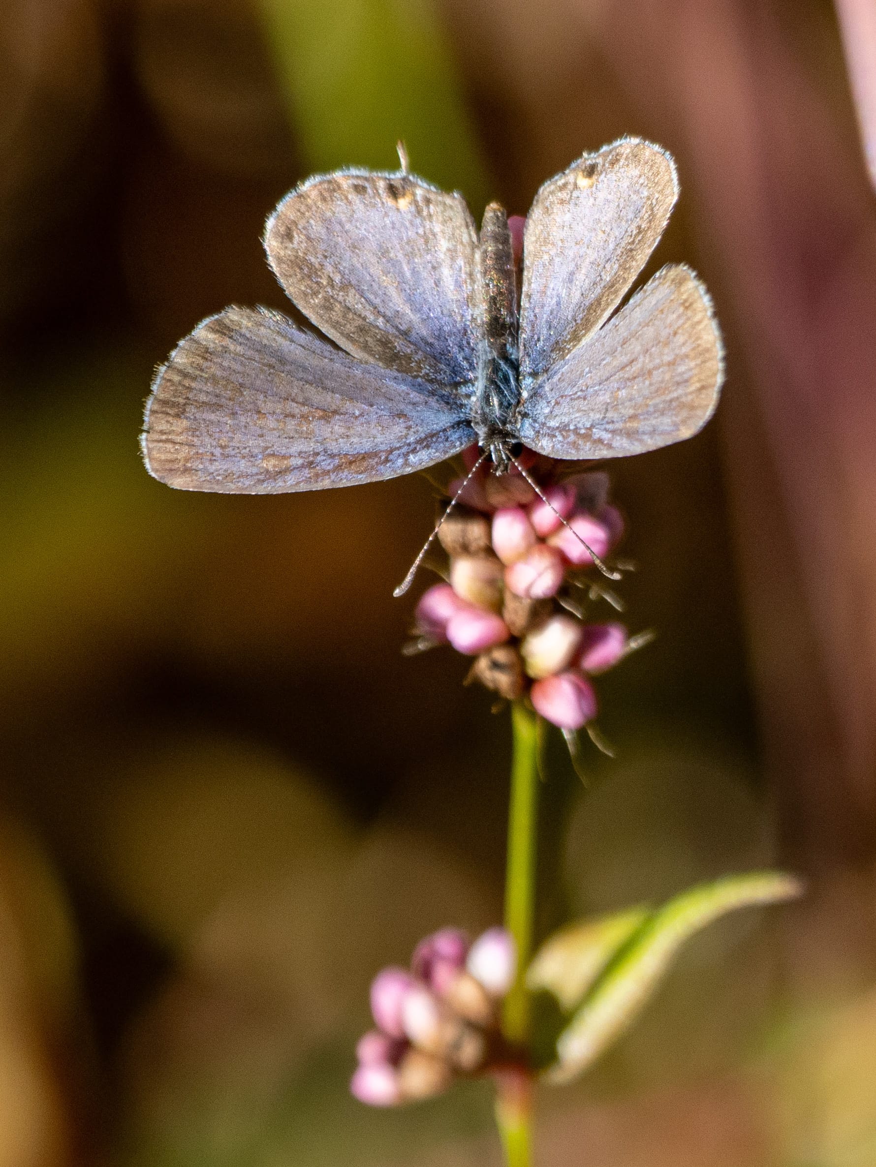 October at Nixon Park