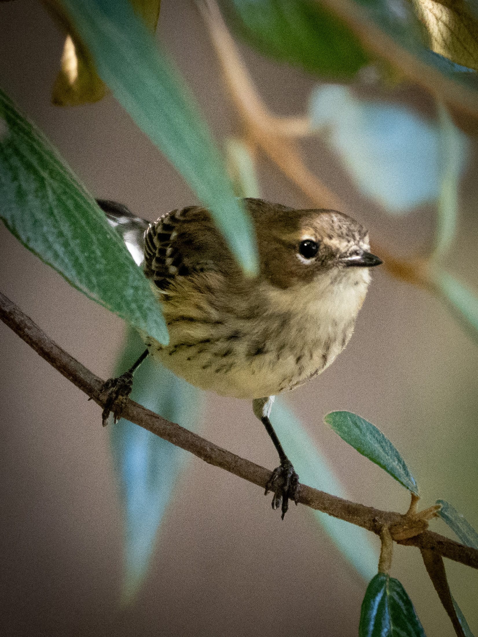 October at Nixon Park