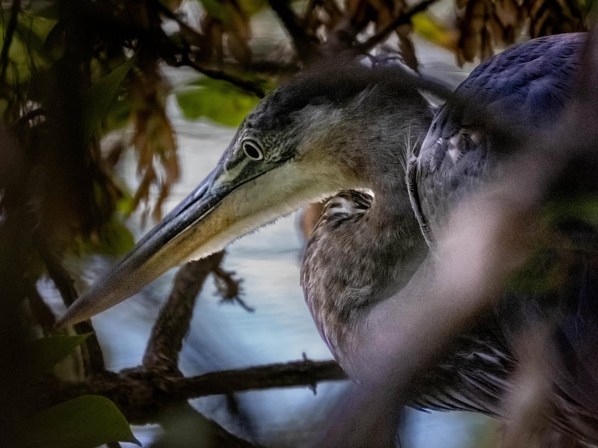 October at Nixon Park