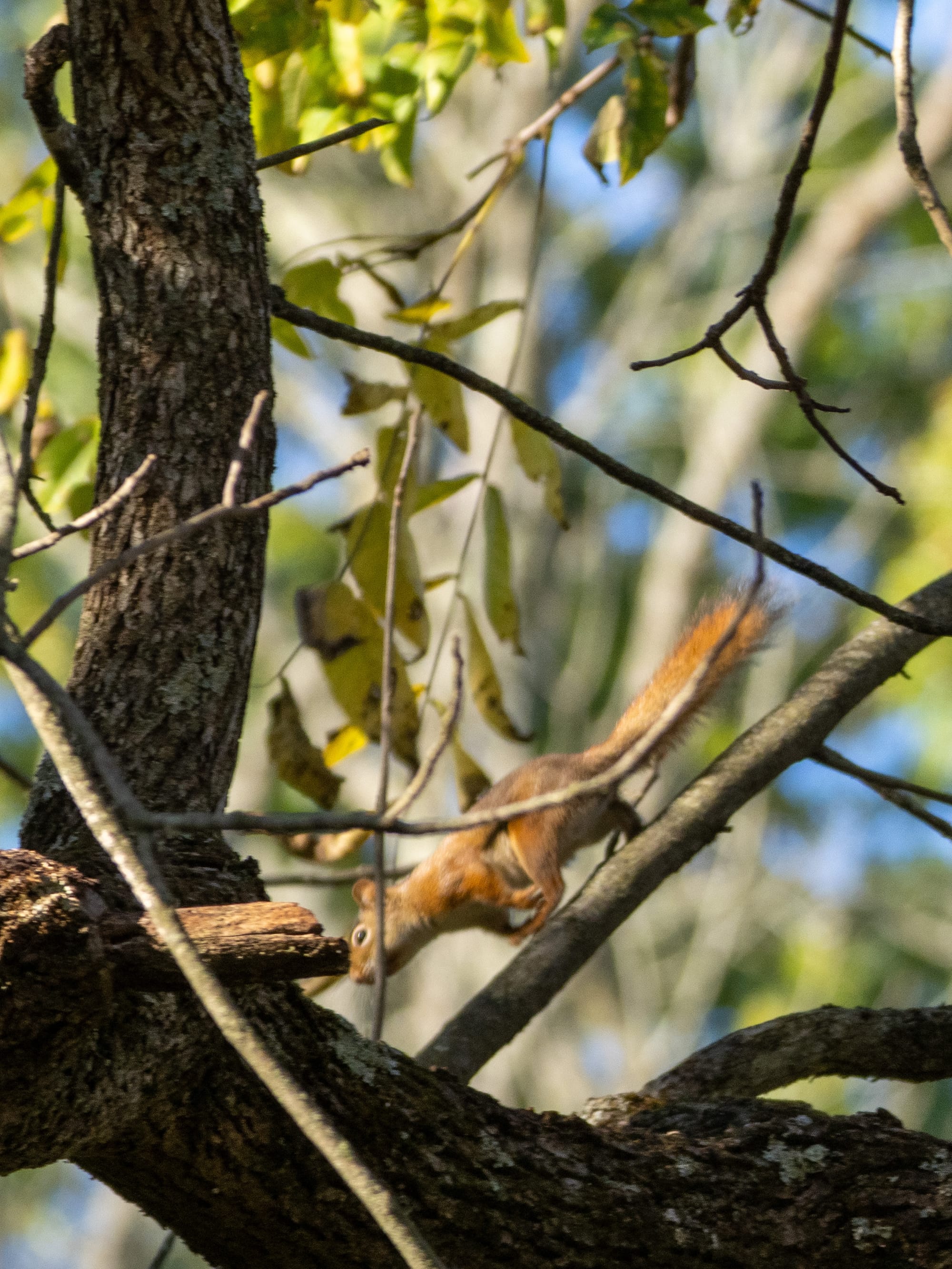 October at Nixon Park