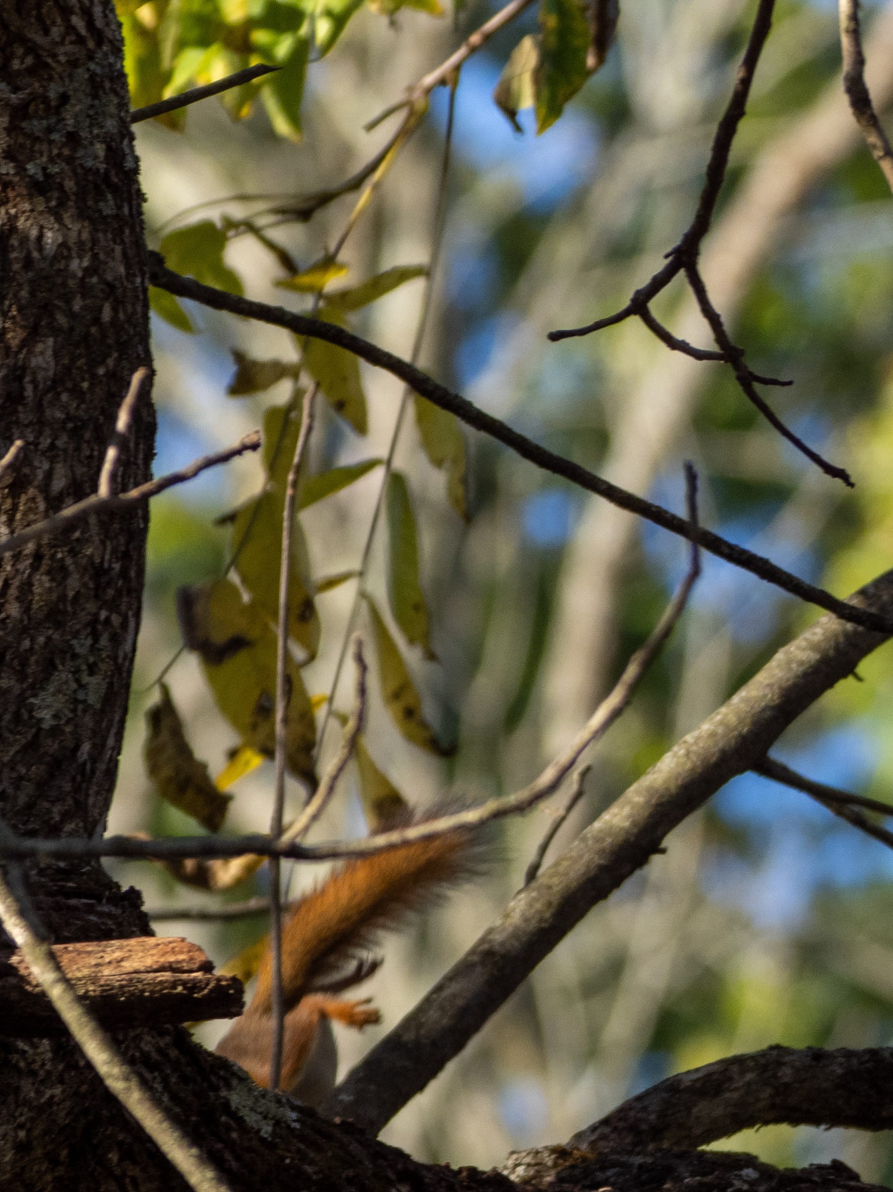 October at Nixon Park