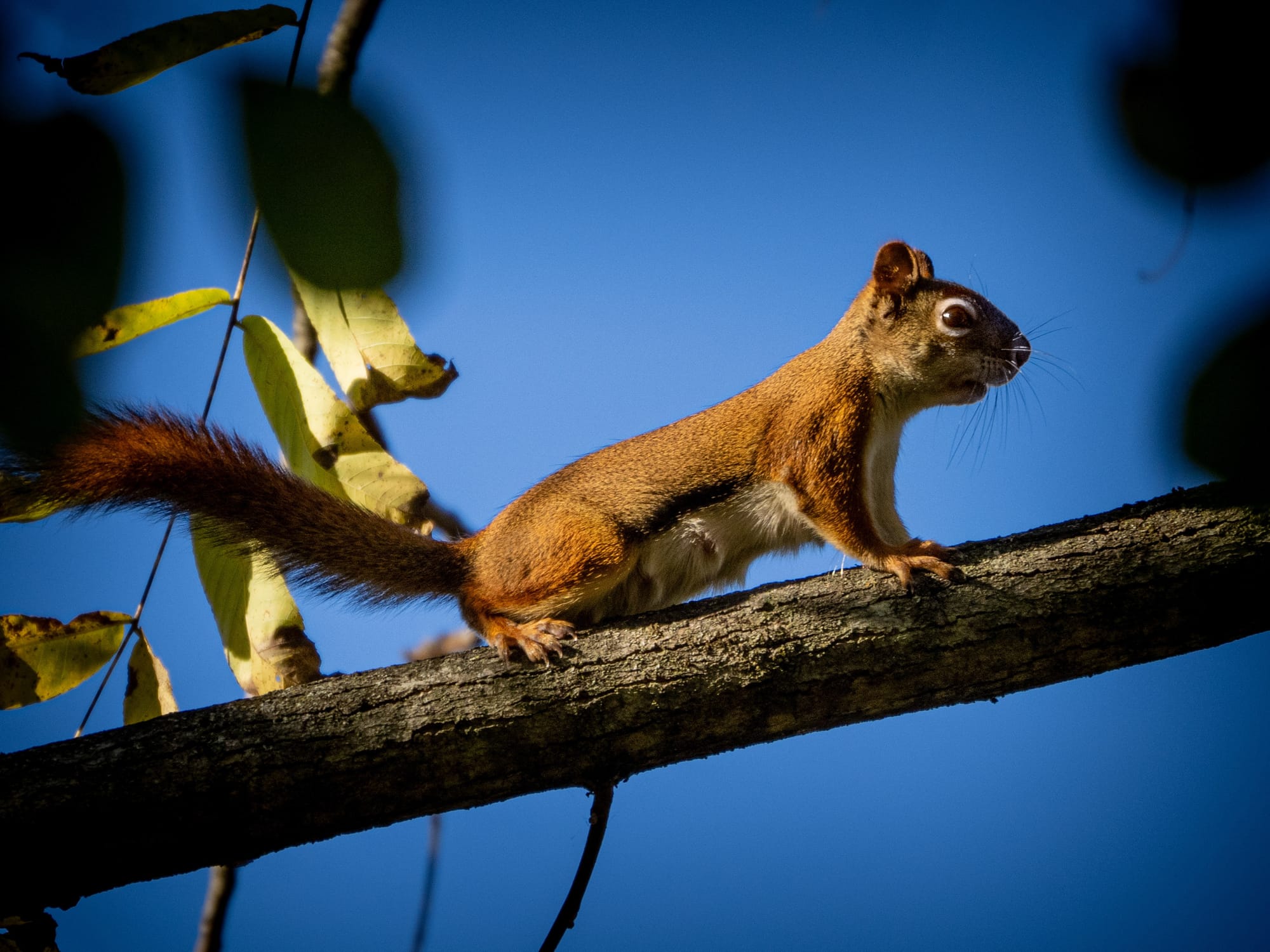 October at Nixon Park