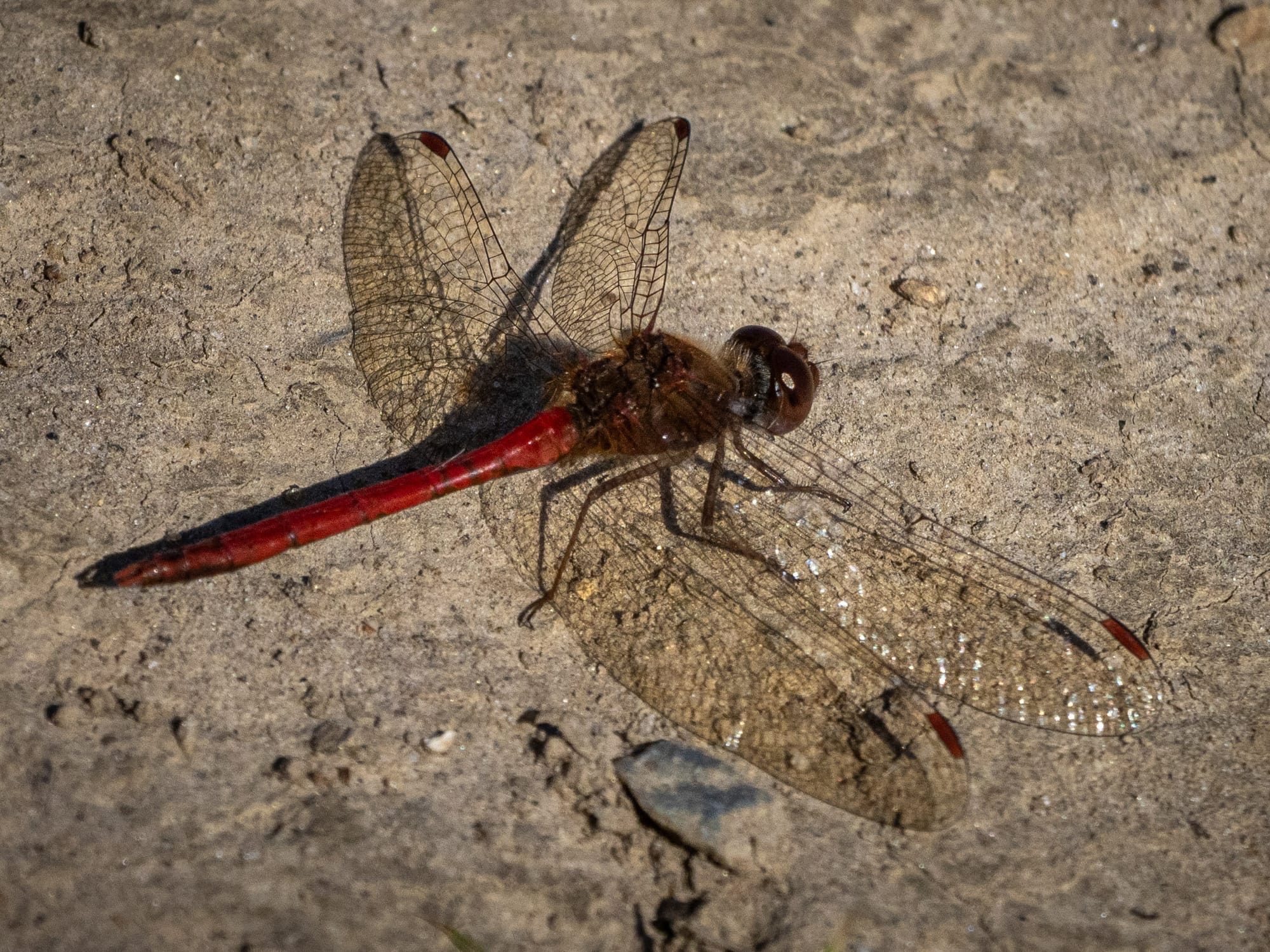October at Nixon Park