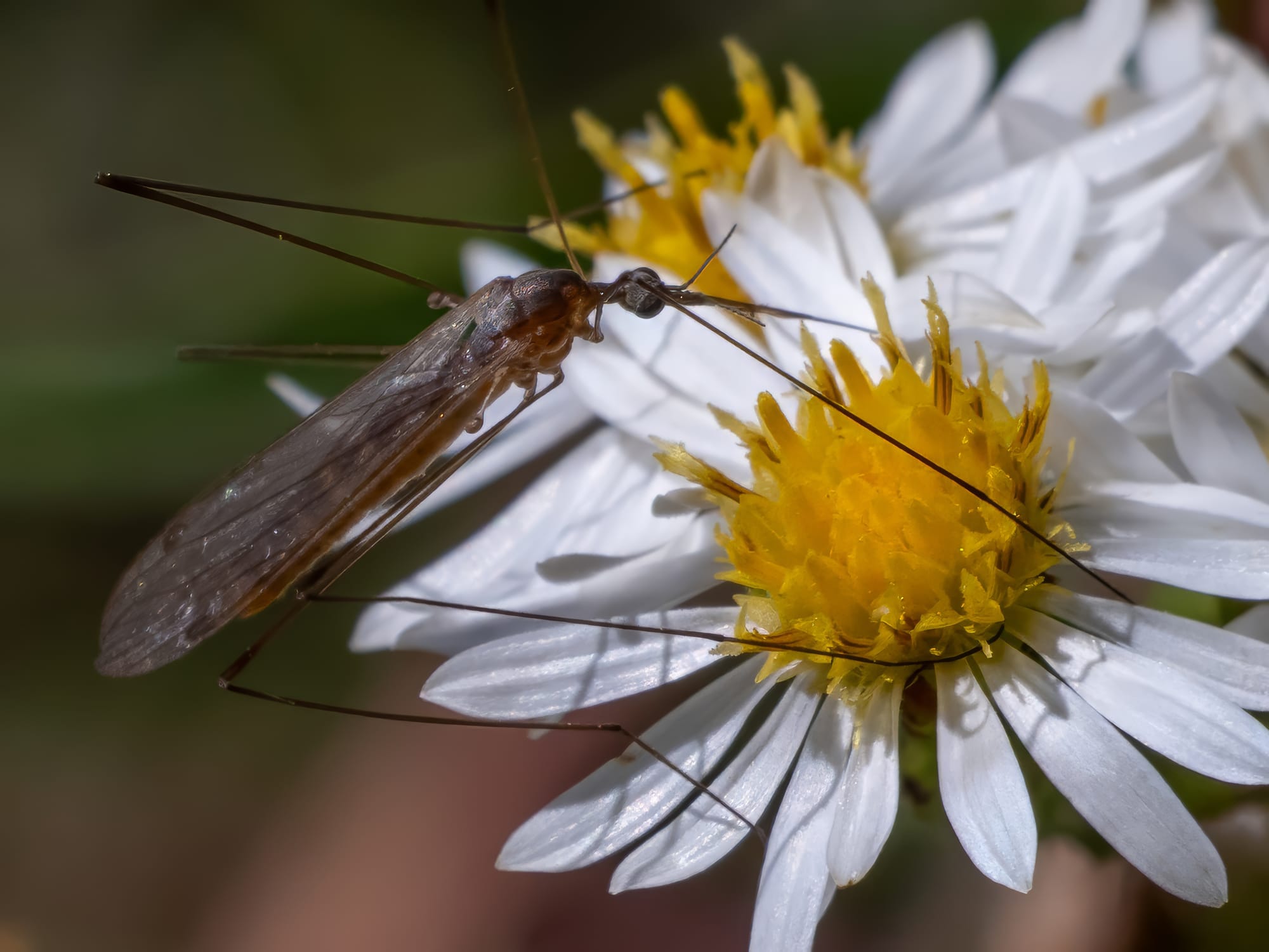 October at Nixon Park