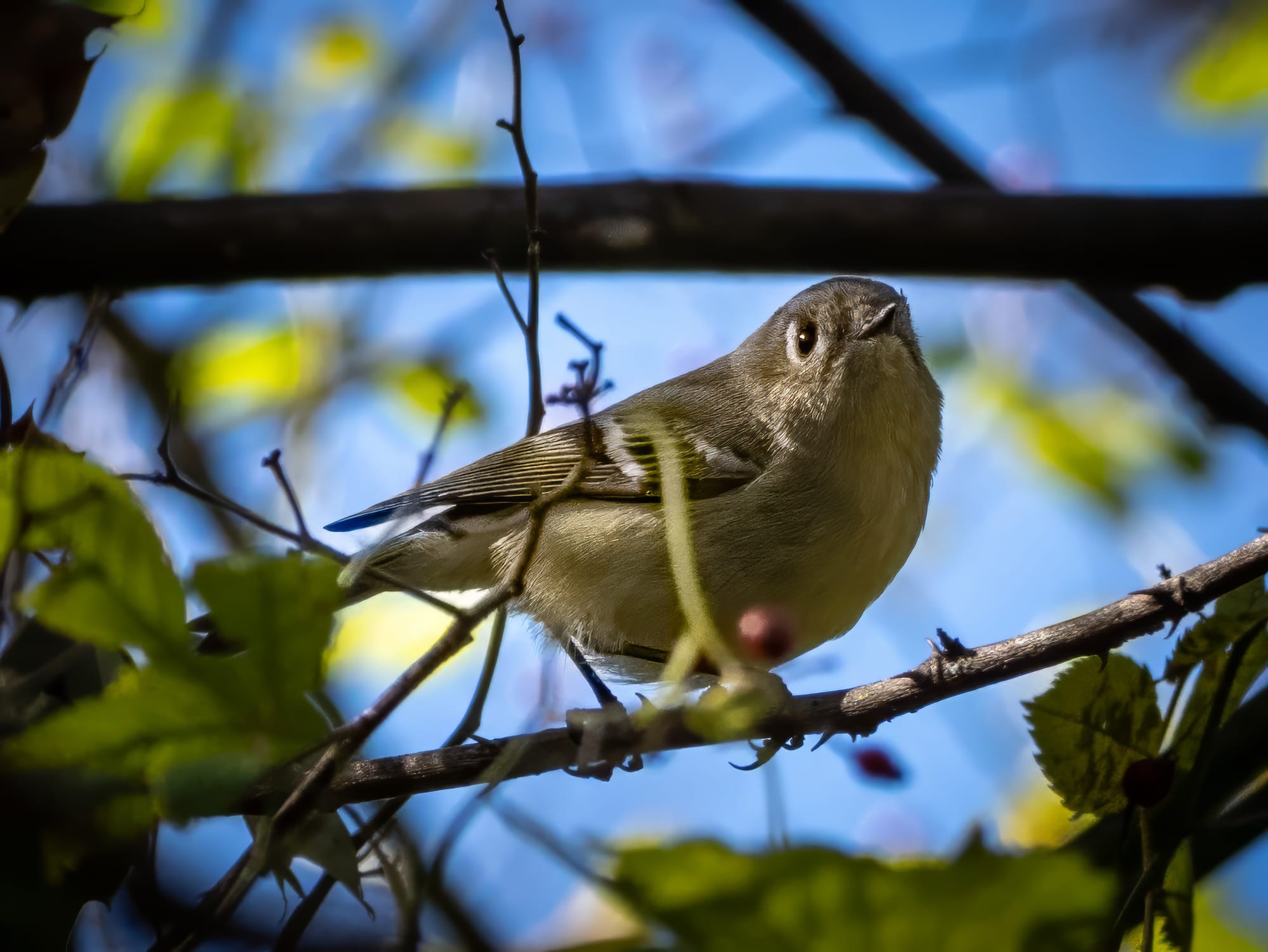 October at Nixon Park