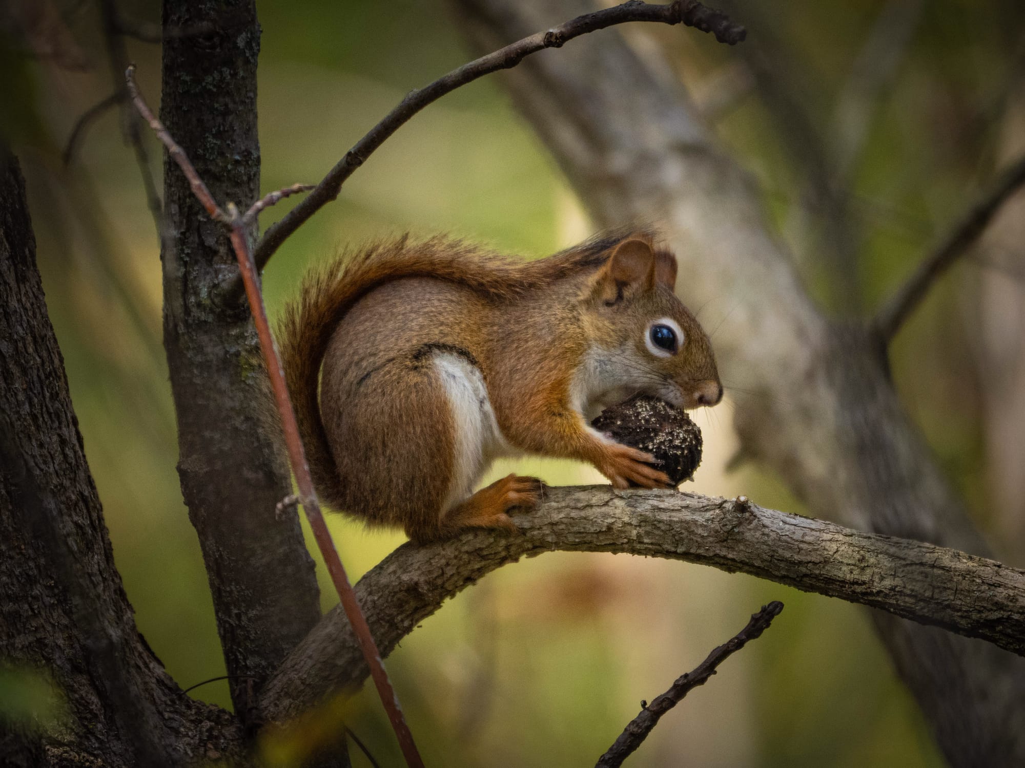 October at Nixon Park