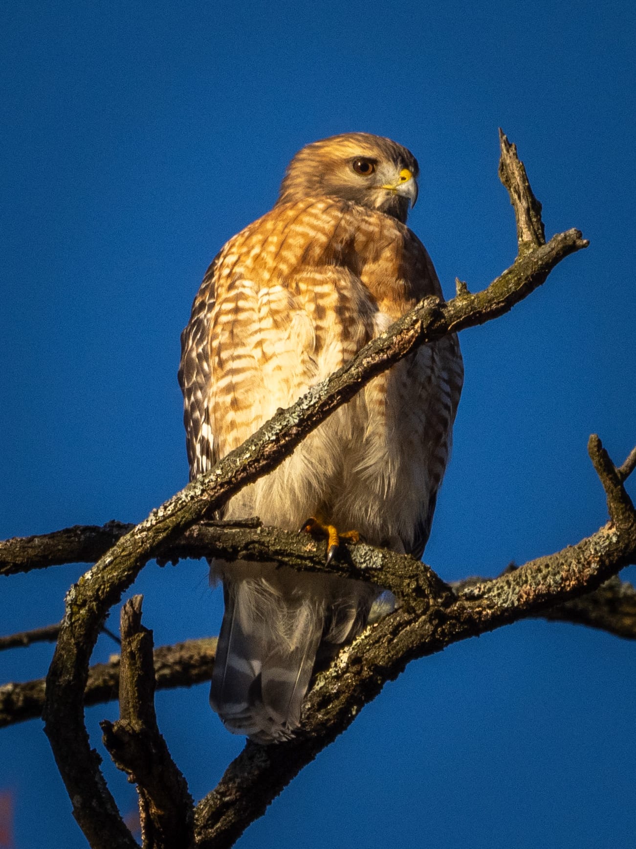 October at Nixon Park