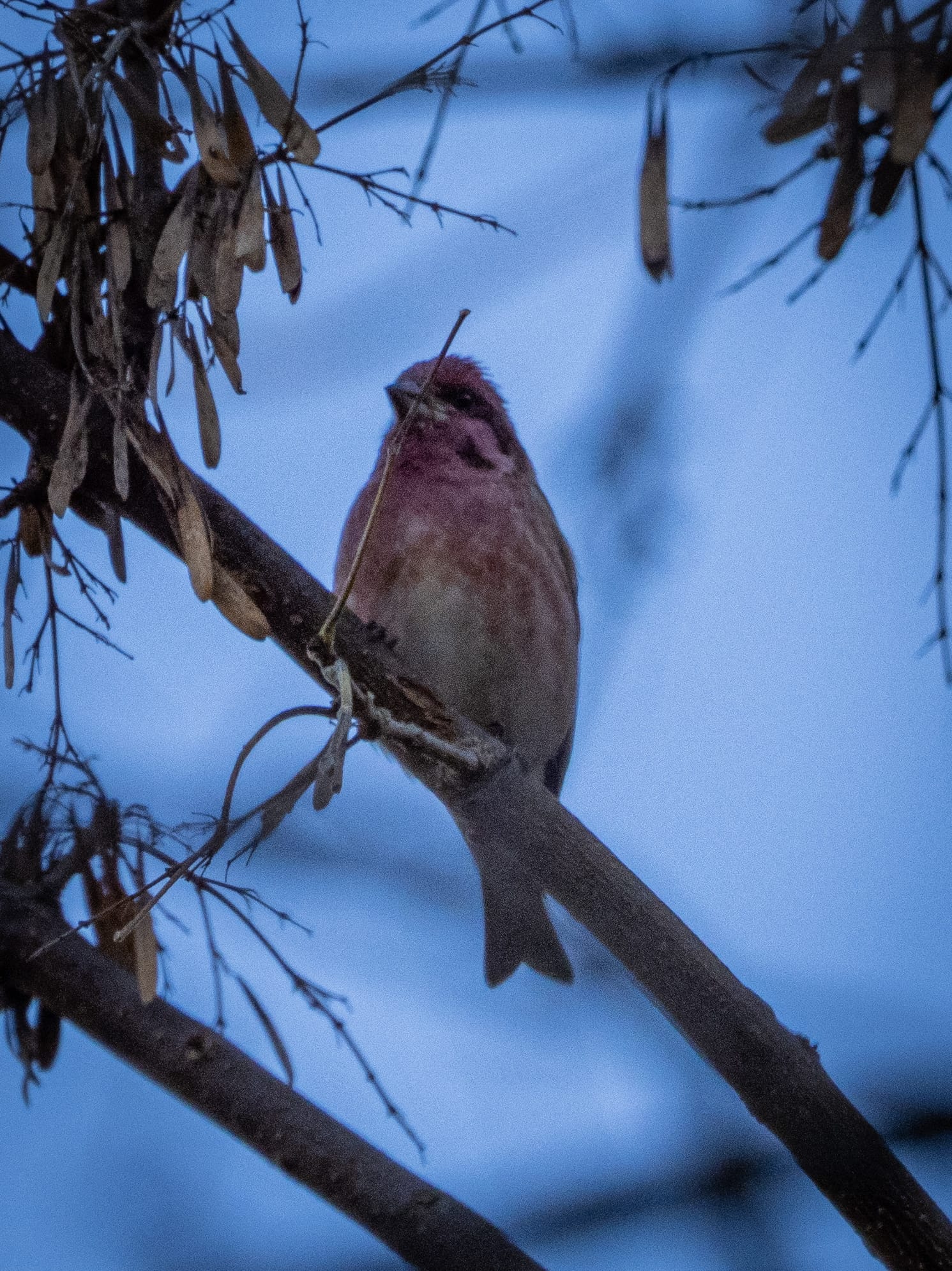 October at Nixon Park