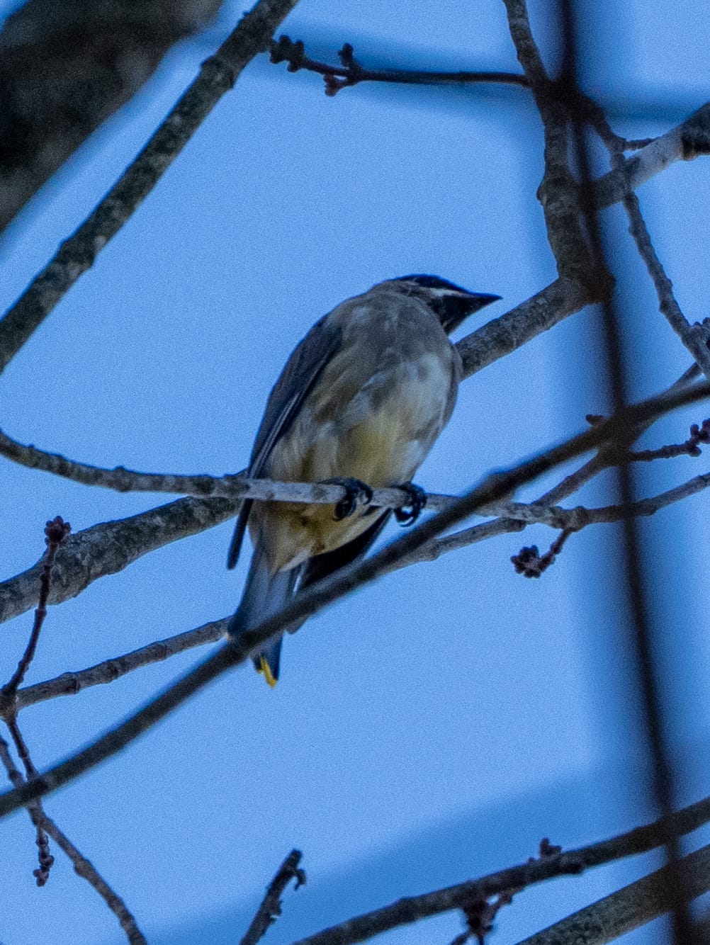 October at Nixon Park