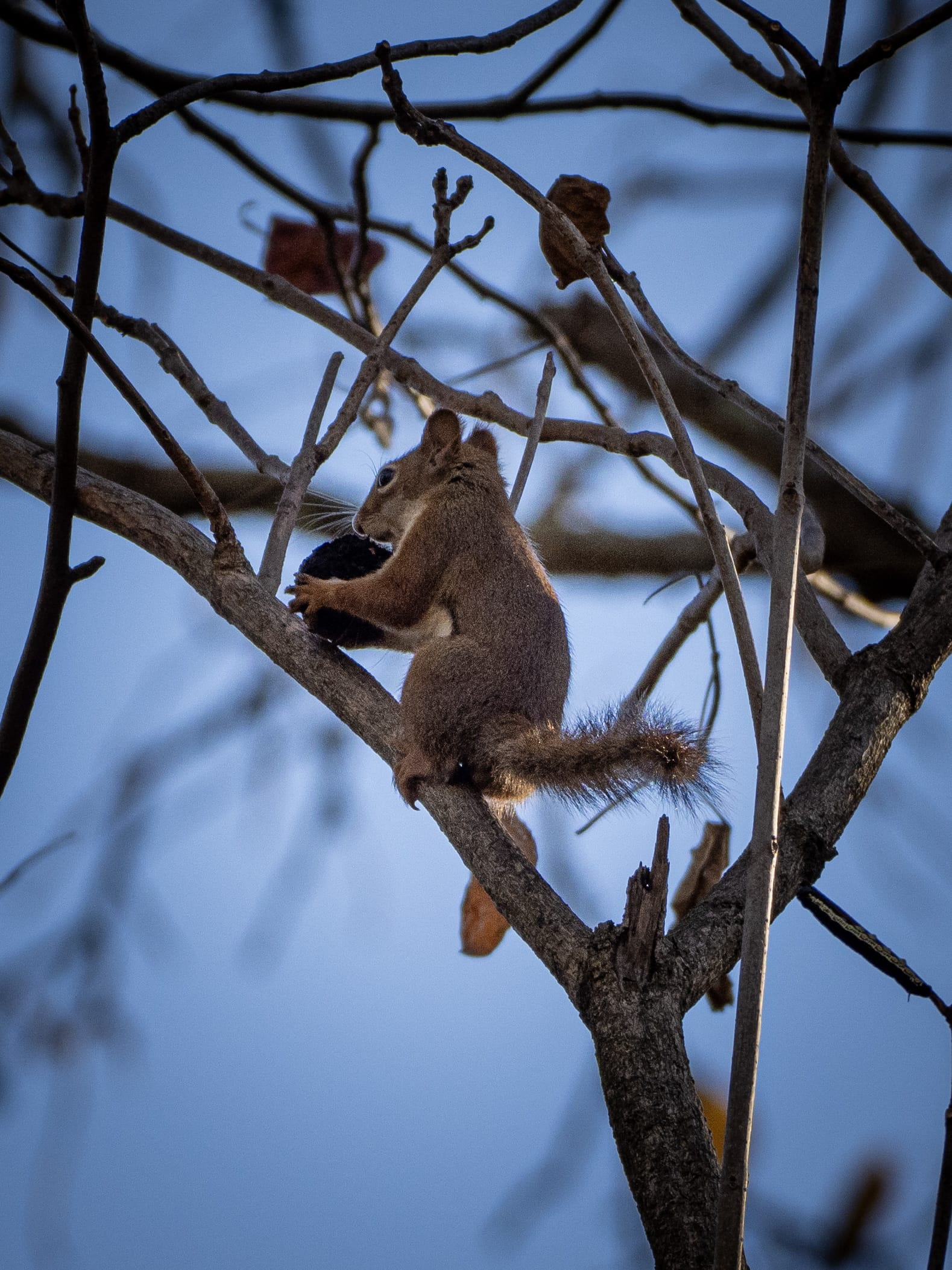 October at Nixon Park
