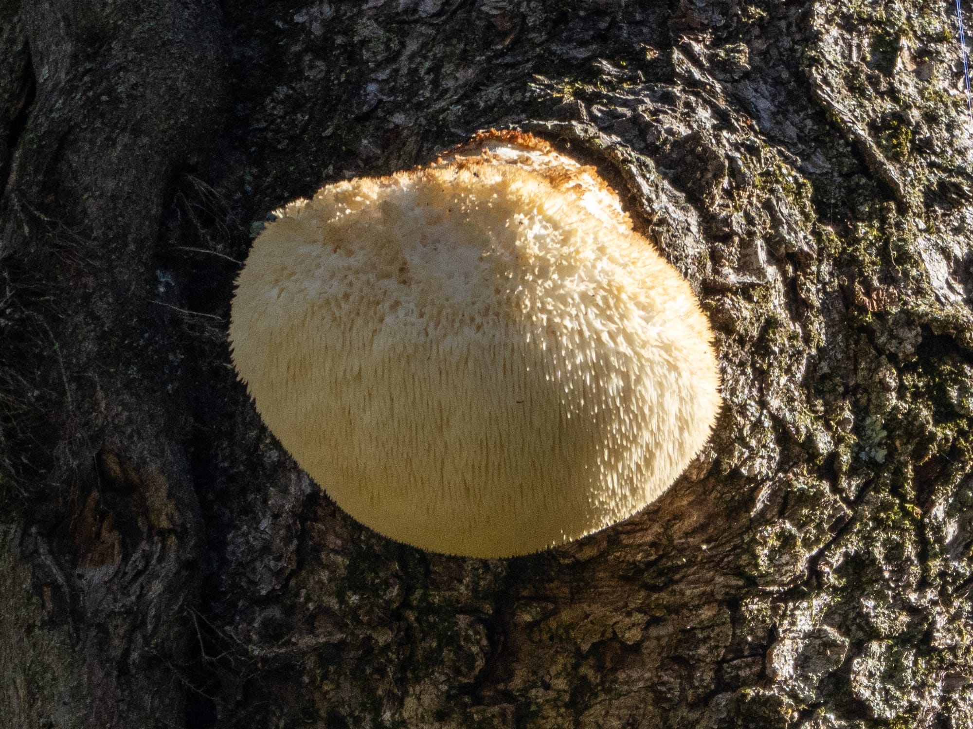 October at Nixon Park