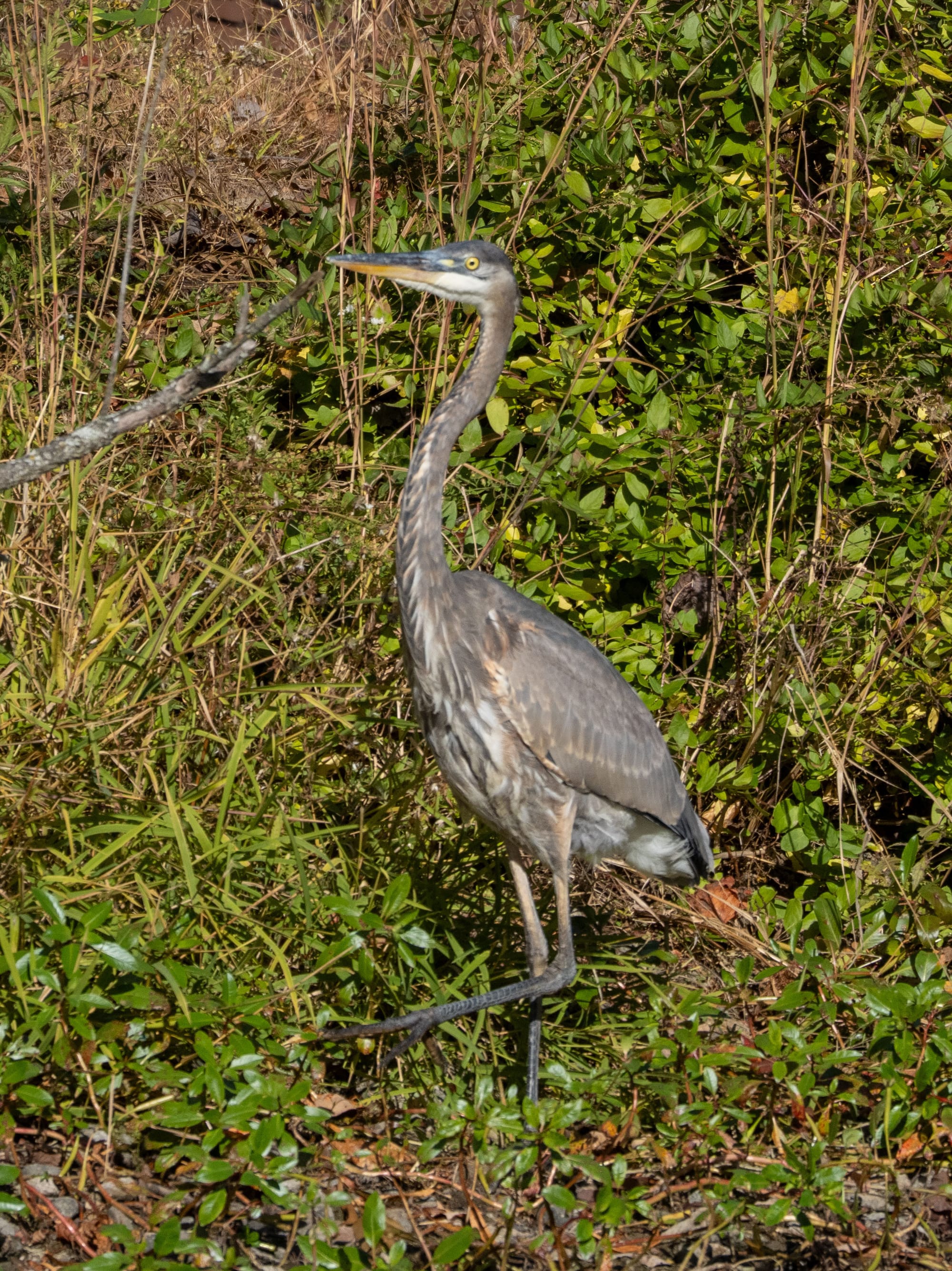 October at Nixon Park