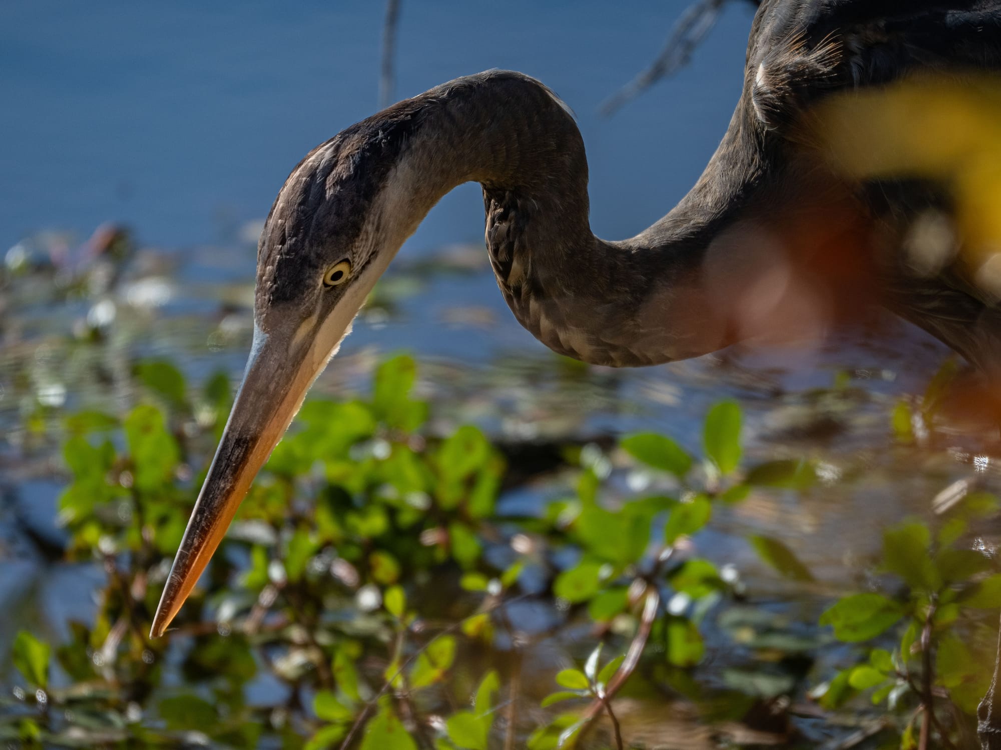 October at Nixon Park