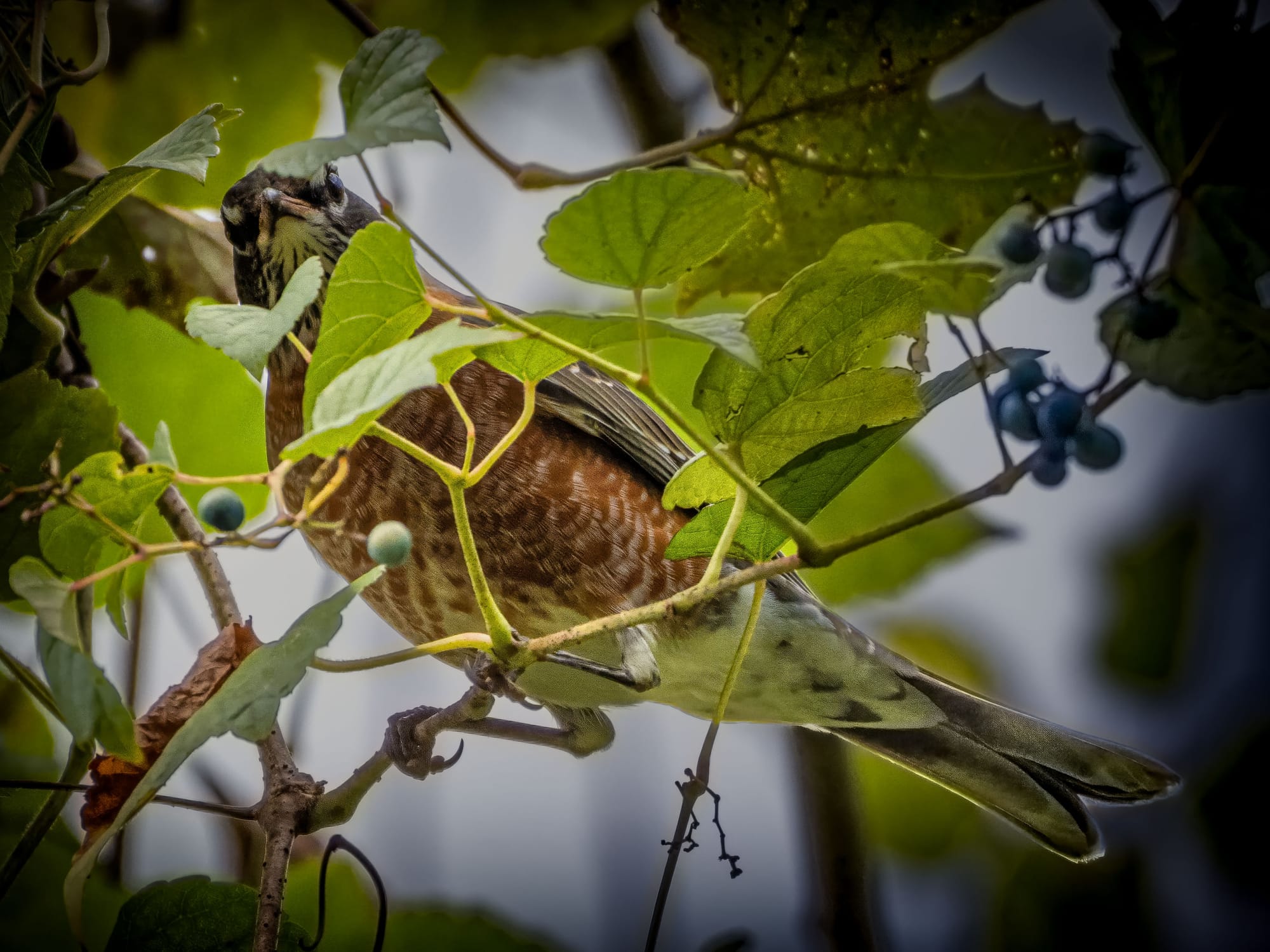 October at Nixon Park