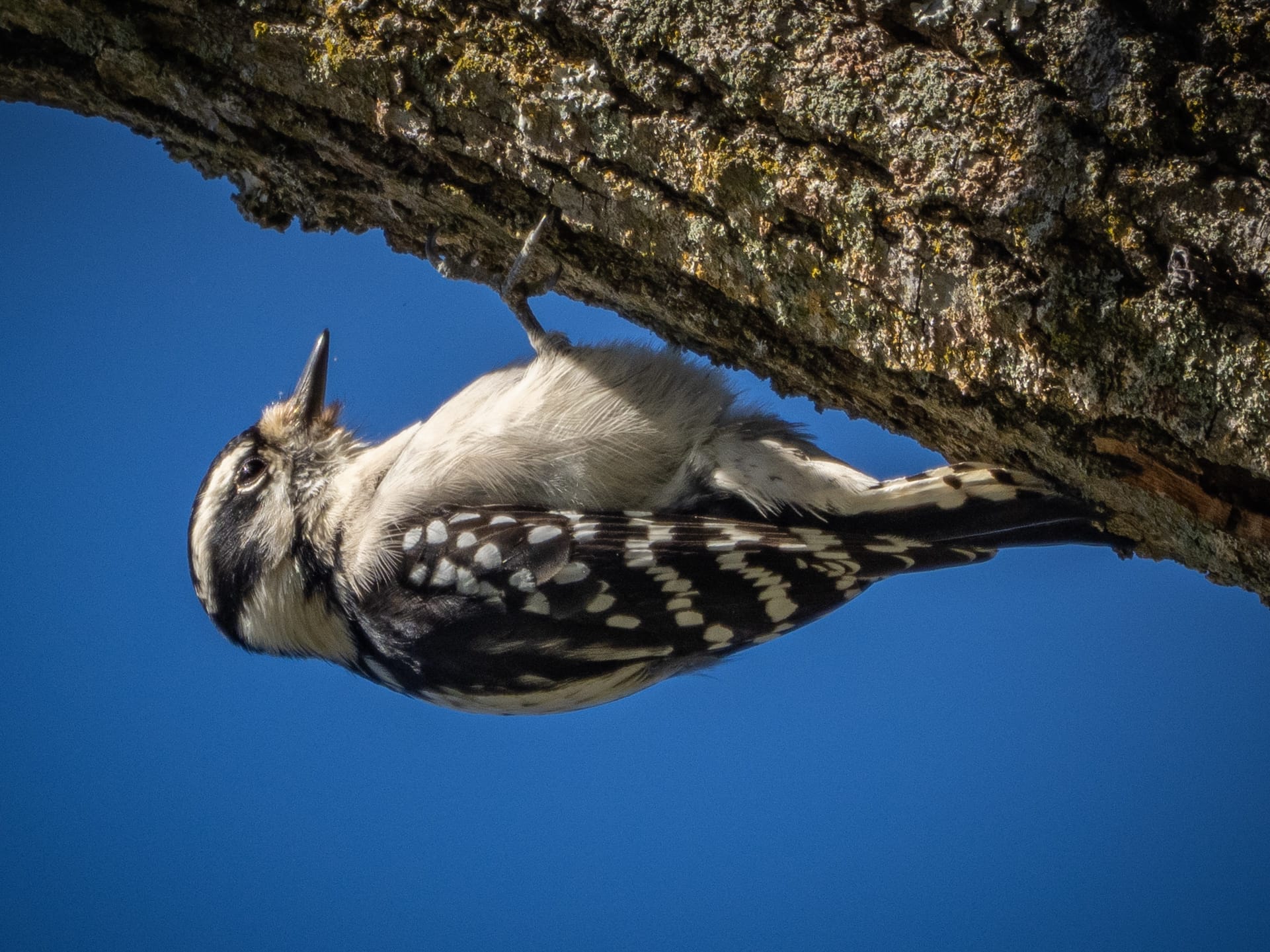 October at Nixon Park