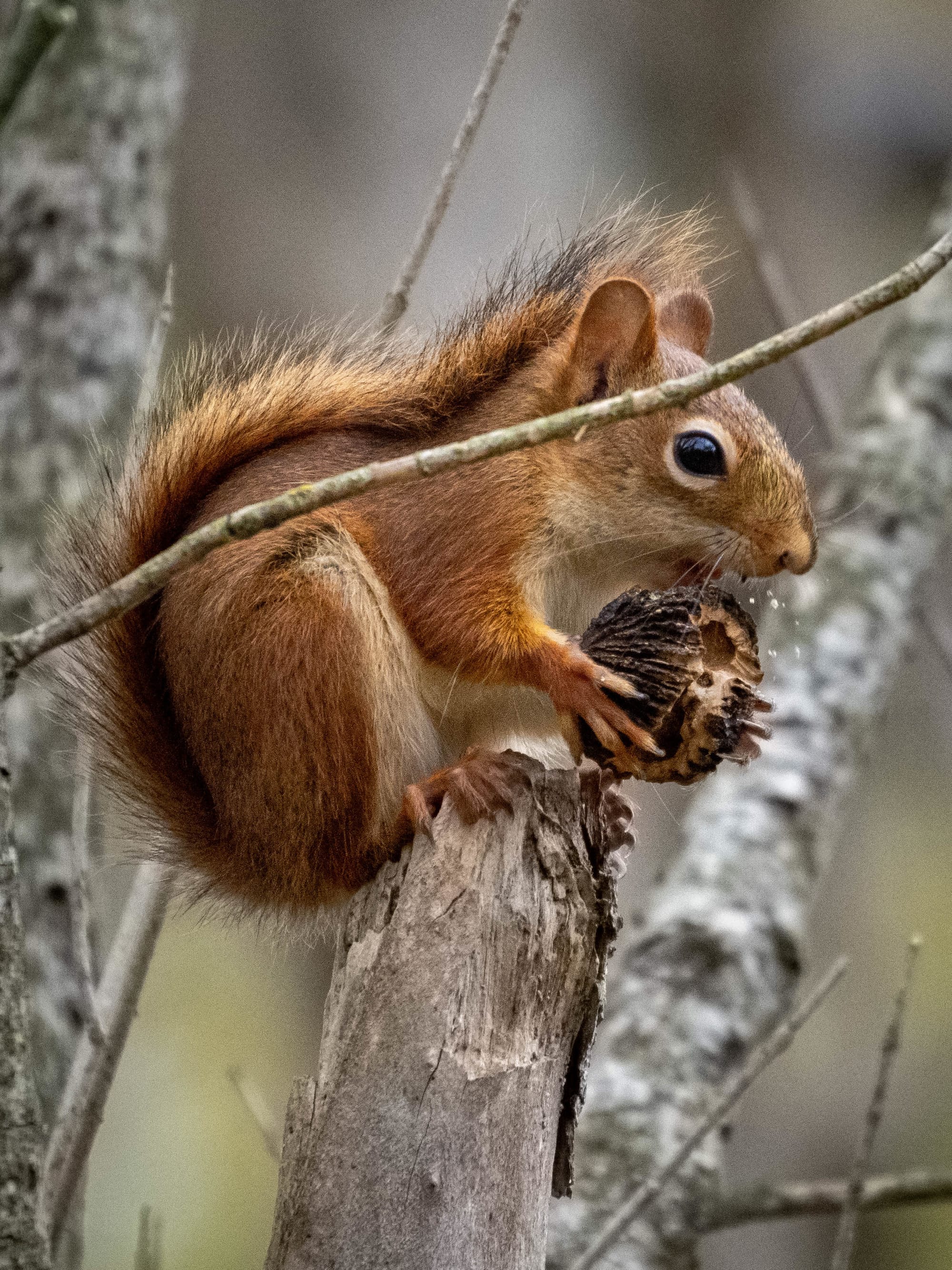 October at Nixon Park