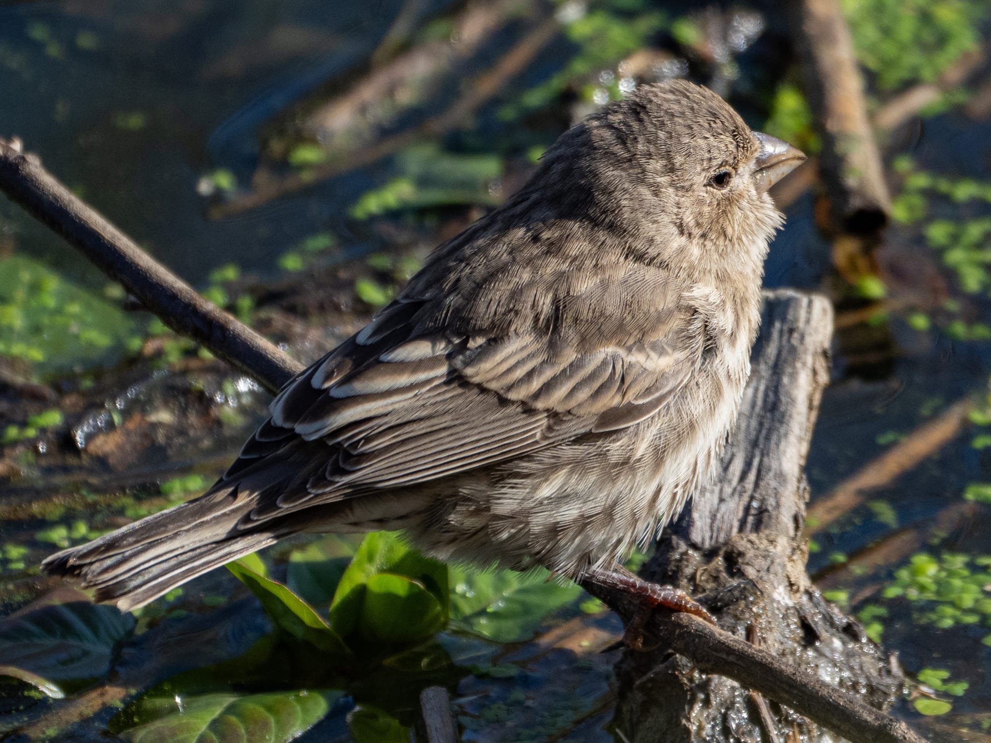 This Week at Nixon Park - November 1-7