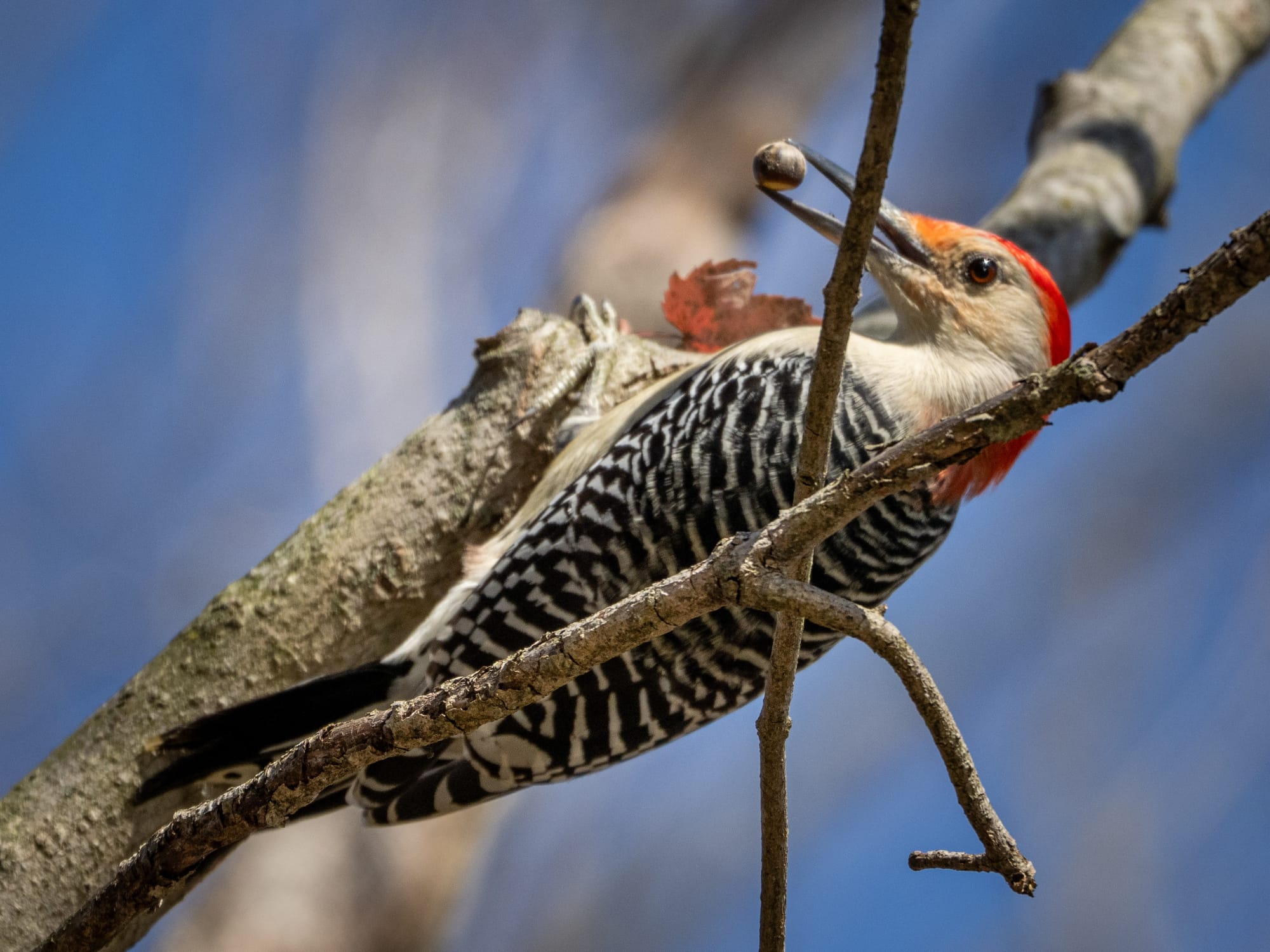 This Week at Nixon Park - November 1-7