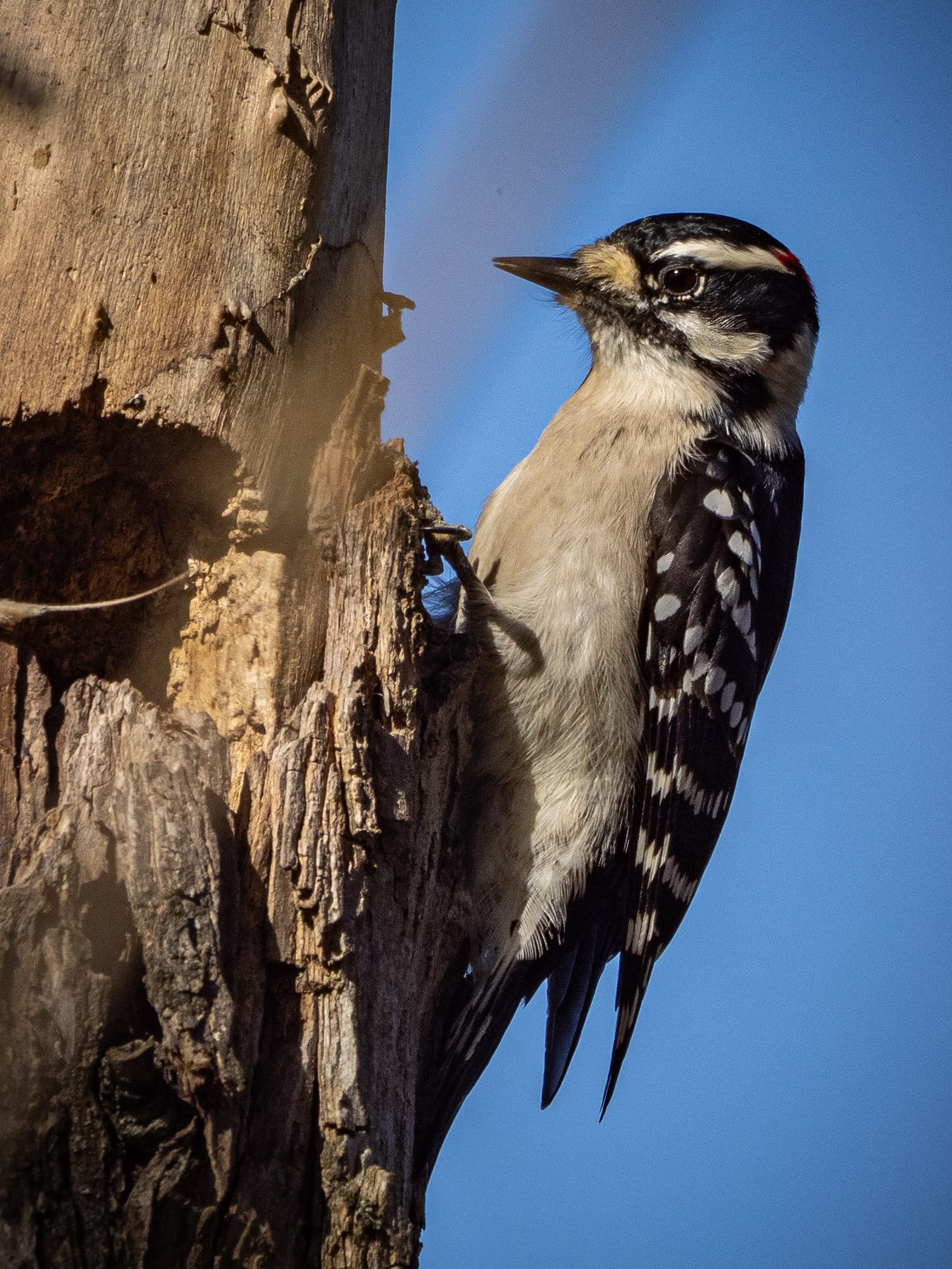 This Week at Nixon Park - November 1-7