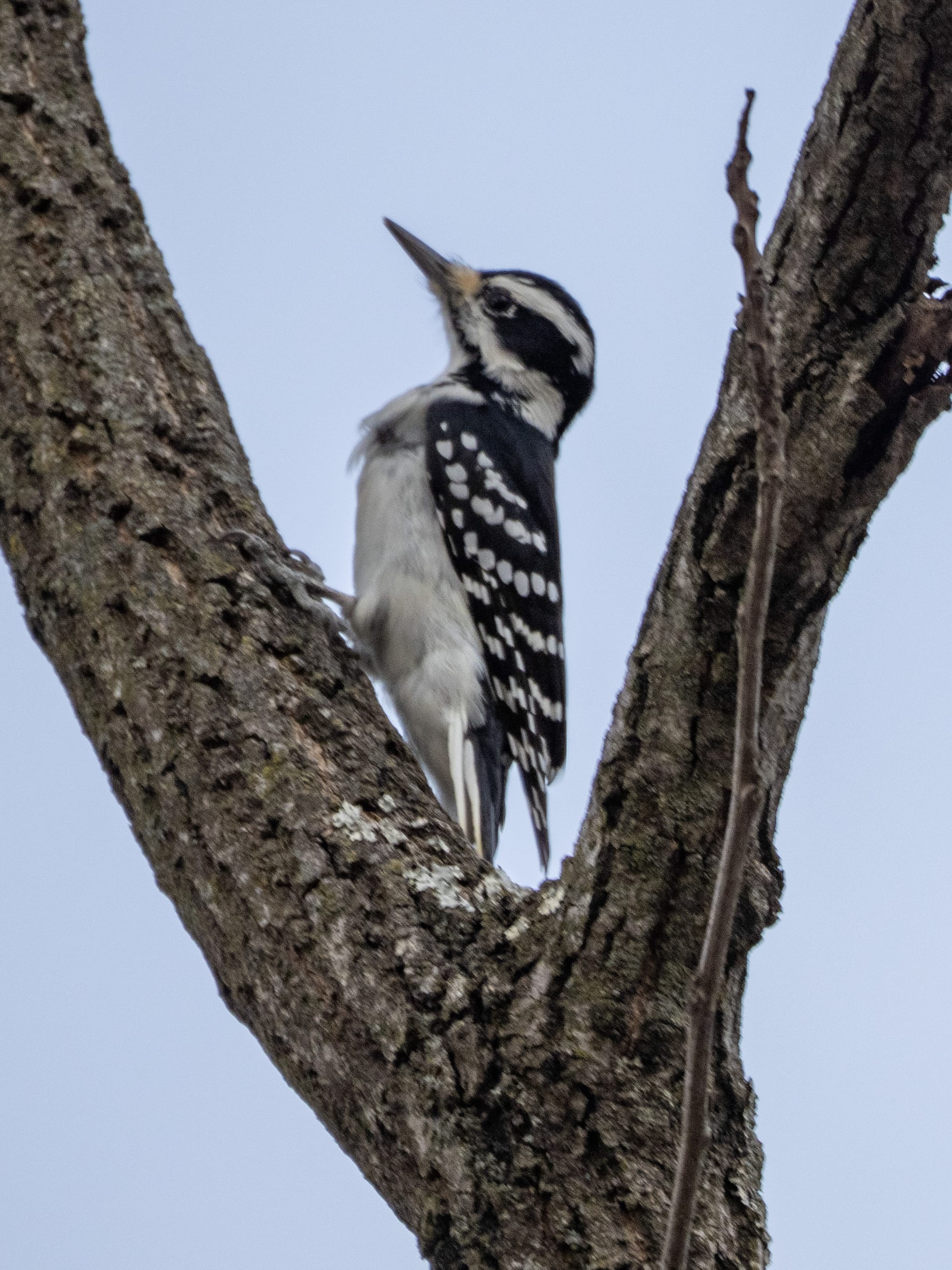 This Week at Nixon Park - November 1-7